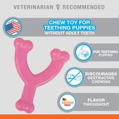 Nylabone Wishbone Puppy Chew Toy, Toys for Teething Puppies, Pink, Chicken Flavor