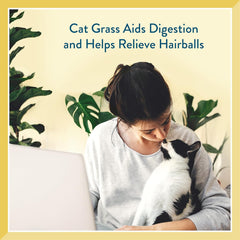 Pet Greens Semi-Moist Cat Craves Treats , Chicken flavor, 3 Oz