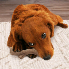 Nylabone Gourmet Style Stick Strong Chew Toy for Dogs, Peanut Butter Flavor, Medium