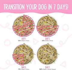 Weruva Meals 'n More Natural Wet Dog Food, Amazon Livin' Plus Digestive Support (Pack of 12)