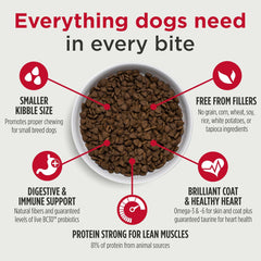 Nulo Freestyle High Protein Small Breed Beef & Sweet Potato Recipe Natural Dry Kibble Dog Food