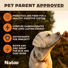 NATOO Biscuits for Small Dogs & Puppies Crunchy Dog Treats, Sweet Potato & Pumpkin Healthy Natural Canine Biscuits, Rich in Omega 6, Prebiotics & Fibers, Antioxidants for Immunity (8 oz)