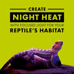 Zilla Incandescent Spot Bulb Night Black