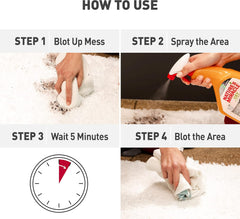 Nature’s Miracle Set-In Stain Destroyer Dog, Oxy Formula With Orange Scent