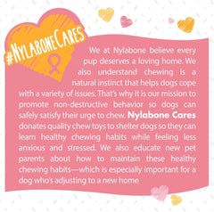 Nylabone Power Chew Breast Cancer Awareness Femur Bone Chew Toy for Dogs, Indestructible Dog Toys for Aggressive Chewers, Chicken Flavor