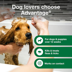 Elanco Advantage Dog Flea & Tick Shampoo for Puppies & Adult Dogs | Kills Fleas & Ticks | 24 oz.