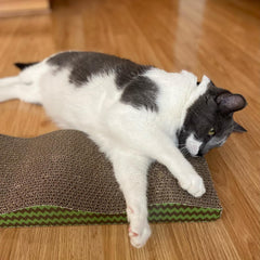 SPOT Wave Cat Scratcher - Corrugated Scratching Board with Wavy Design, Made from 100% Eco-Friendly & Recyclable Cardboard, Encourages Good Scratching Behavior - 17" Board with Catnip Pouch Included