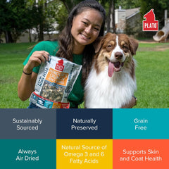 Plato Hundur's Crunch Jerky Minis