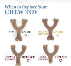 Nylabone Gourmet Style Stick Strong Chew Toy for Puppies, Chicken Flavor, Medium - Up to 35 lbs, 1 Count