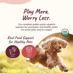 kin+kind Hip+Joint Supplement Dogs & Cats - Organic Healthy Hip+Joint Supplement - Vet Formulated Natural Formula with Organic Turmeric, Black Pepper and Coconut- Large 8oz - Made in USA