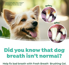 TropiClean Oral Care Brushing Gel for Dogs & Cats| Dog Toothpaste | Pet Dental Gel | Dog Teeth Cleaning Use with Pet Toothbrush |