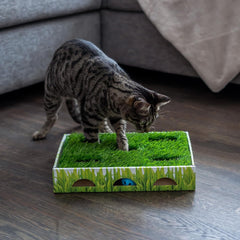 Petstages Catstages Grass Patch Hunting Box Interactive Bat & Swat Game for Indoor Cats, 3 Jingle Balls Included, Green
