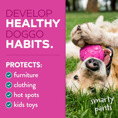 TropiClean No Chew Spray for Dogs, Better Than Bitter Apple Spray, Safe & Natural Chew + Lick Deterrent, Protect Home 8 oz