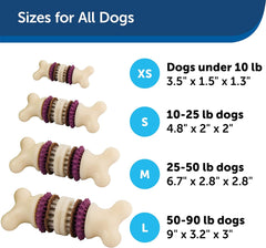 PetSafe Busy Buddy Bristle Bone Dog Toy - Treat-Holding Toy for Dogs - Treat Rings Included - Rigorously Tested Ingredients - Purple