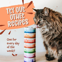 Earthborn Holistic Catalina Catch Grain-Free Moist Cat Food 3 oz Can