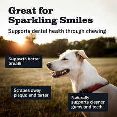 Redbarn Pet Products All-Natural 3-5" Bully Bites Small Chew Sticks for Dogs & Puppies - Premium Grain-Free & Rawhide-Free Single Ingredient Fully Digestible Dental Treat for Chewers - 10 oz Bag