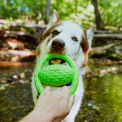 Playology Hound2O Outdoor Dog Toys | Interactive Squeaky Ball - Tug of War Dog Toy | Bright Chew Toy Floats for Water Adventures