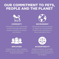 Go! Solutions Carnivore, Grain-Free, Protein Rich Dry Dog Food, Chicken, Turkey and Duck Senior Recipe, 22 lb Bag