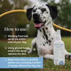 Veterinary Formula Flea and Tick Spray for Dogs – Easy-to-Use Dog Flea Spray, Kills on Contact, Prevents Egg & Larval Development for 14 weeks