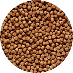 Hikari Sinking Cichlid Gold Pellets for Pets