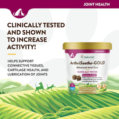 NaturVet ArthriSoothe-Gold Level 3 Advanced Joint Care for Dogs – Soft Chew Dog Supplement with Glucosamine, MSM, Chondroitin & Hyaluronic Acid – Wheat-Free Pet Supplements – 70 Ct.