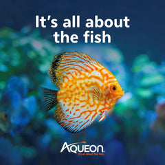 Aqueon® Herbivore Shrimp Food 1.5 Oz