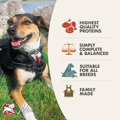 Fromm Classic Adult Turkey & Rice Pate Dog Food - Premium Wet Dog Food - Turkey Recipe - Case of 12 Cans