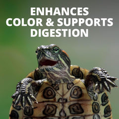 TetraFauna ReptoTreat Gammarus 0.35 Ounce, Shrimp Treat For Aquatic Turtles, Newts And Frogs