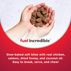 Nulo Functional Jerky Bites Puppy Health Dog Treats 5 OZ Bag