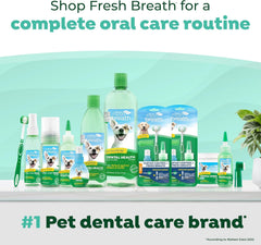 TropiClean Fresh Breath Dental Foam Spray for Dogs & Cats