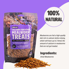 Fluker’s Grub Bag All Natural Calcium Fortified Mealworm Treats, Packed with Protein, Rich in Nutrients, A Reptile Favorite, 3 oz
