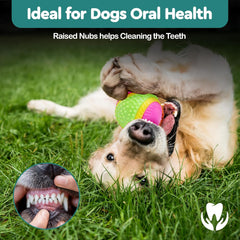 SPOT Sensory Ball for Soft Chewers - Stimulates All 5 Senses, Bell & Squeaker Sounds, Raised Nubs Clean Teeth, High Contrast Fetch Toy, Beef Scented, Durable TPR Rubber Ball, 3.25-inch