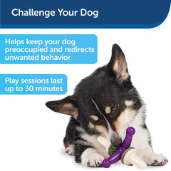 PetSafe Busy Buddy Treat Holding Jack Dog Toy – Strong Chewers - Challenging - Treat Rings Included