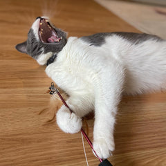SPOT Fishing Rod 'N Reel Kitty Teaser - Cat Toy Fishing Pole Casts a Line Over 7 Feet with Working Reel Locks in Line When You Make Your Catch, Feather End Teases and Entices Cats to Pounce and Chase