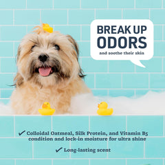 Veterinary Formula Smart Coat Complex Soothing and Deodorizing Oatmeal Shampoo for Dogs – Baking Soda Eliminates Odors, Aloe Vera & Oatmeal Cleanse and Hydrate Skin – Long-Lasting Fragrance