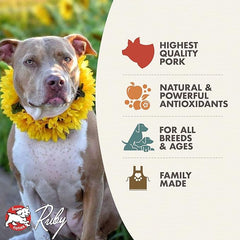 Fromm Diner Breakfast Betty's Biscuits & Gravy Pork & Eggs Recipe in Gravy Dog Food - Premium Wet Dog Food - Pork Recipe - Case of 12 Cans