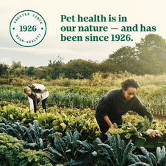 NUTRO Perfect Portions Adult Wet Cat Food Grain Free Chicken & Liver Paté Entrées 2.6 oz, 24 pk