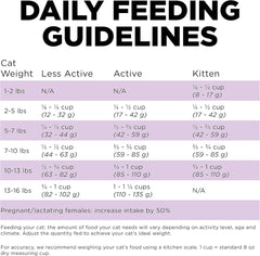 Go! Solutions Carnivore, Grain-Free, Protein Rich Dry Cat Food, Chicken, Turkey and Duck Recipe