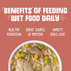 Weruva Classic Dog Food, Jammin' Salmon with Chicken & Salmon in Gravy