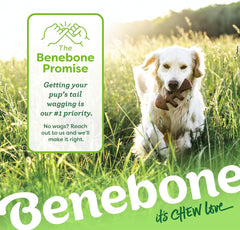 Benebone Fishbone Durable Dog Chew Toy for Aggressive Chewers, Real Fish, Made in USA