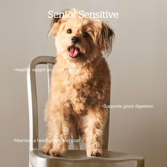 Now Fresh Grain-Free Senior Dry Dog Food with Turkey, Salmon & Duck, Premium Kibble Made with Real Meat & Fish, Chicken-Free Recipe, Glucosamine & Chondroitin for Healthy Joints