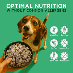 Farmland Traditions The Good List Air-Dried Dog Food, Premium Chicken & Bone Broth for Dogs, Protein Rich & Grain-Free Nutrition