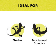 Zilla Night Time Black Light Incandescent Heat Bulb