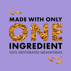 Zilla Reptile Munchies, Mealworms, All-Natural, Dehydrated Mealworms, Ideal for Bearded Dragons, Leopard Geckos, Chameleons and other lizards, Resealable Bag