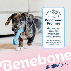 Benebone Puppy 2-Pack Rubber Bone/Wishbone Bacon Tiny