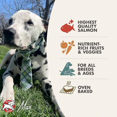 Fromm Four-Star Nutritionals Salmon with Sweet Potato Dog Treats - Premium Oven Baked Dog Snacks - Salmon Recipe - 8 oz