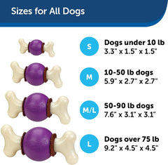 PetSafe Busy Buddy Bouncy Bone Dog Toy - Treat-Holding Toys for Dogs- Scented for Enhanced Sensory Stimulation- Rigorously Tested Ingredients- for Aggressive Chewers- Treat Refills Available - M/L