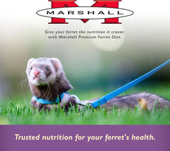 Marshall Pet Products Premium Ferret Diet Senior Formula Dry Food 1ea/4 lb
