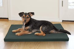 Furhaven Water-Resistant Dog Bed for Extra Small Dogs w/ Removable Washable Cover, Perfect for Crates & Kennels, For Dogs Up to 12 lbs - Two-Tone Reversible Crate Pad - Green/Gray