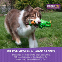 Multipet's Latex Polka Dot Globken Chicken Dog Toy 1 ea